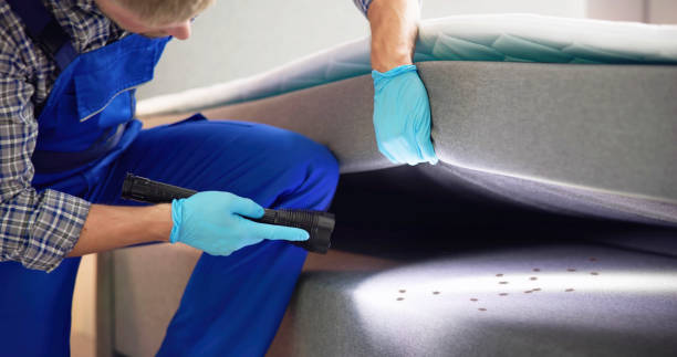 Best Exterminator Services  in Saratoga, WY