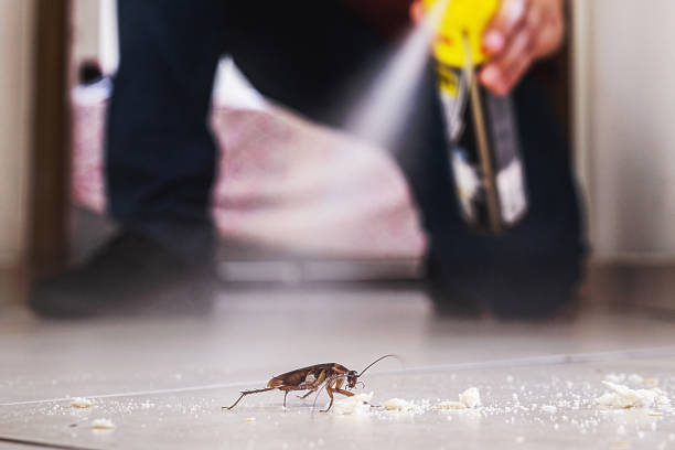 Best Cockroach Control Services  in Saratoga, WY